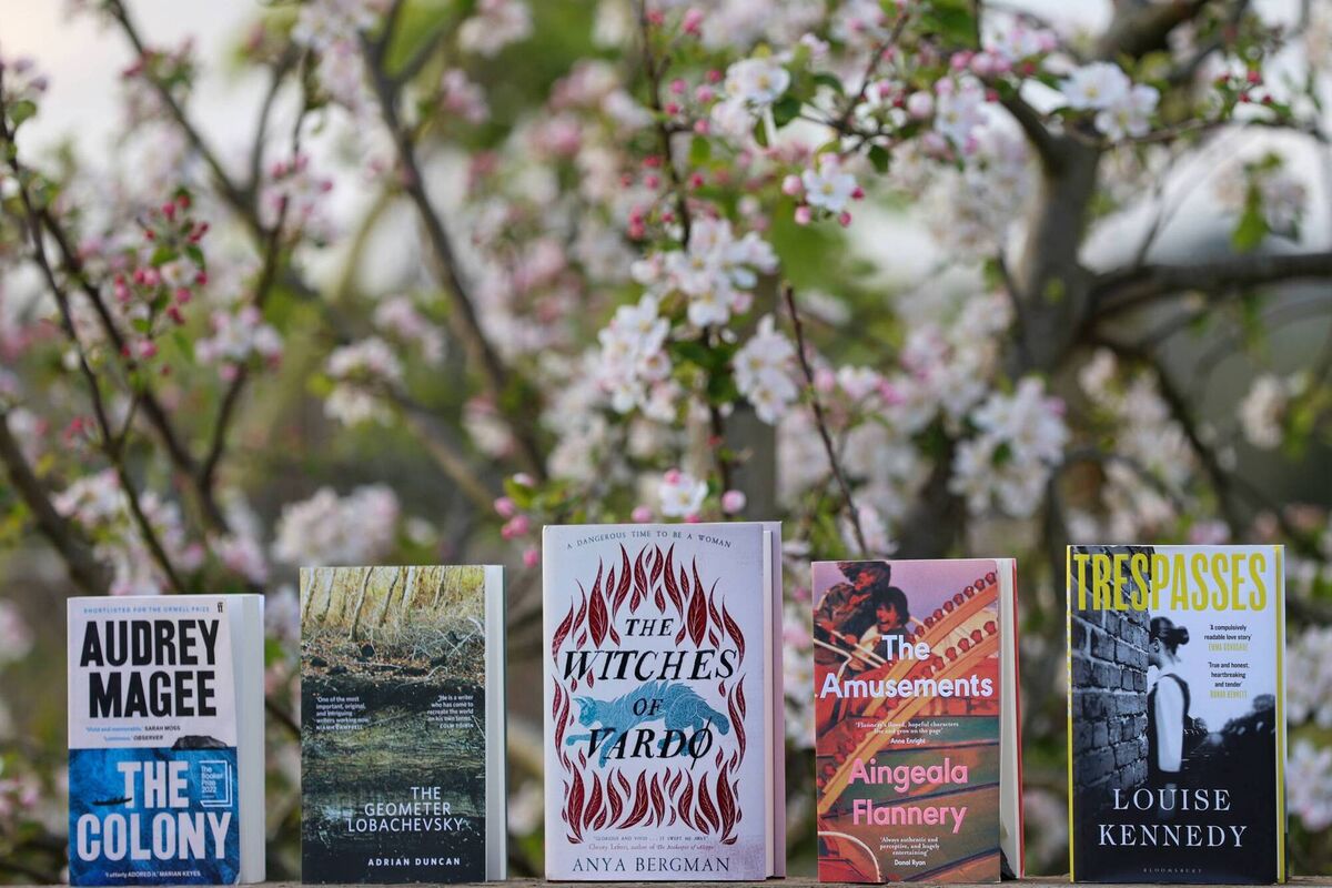 The Kerry Group Irish Novel of the Year winner has been named.