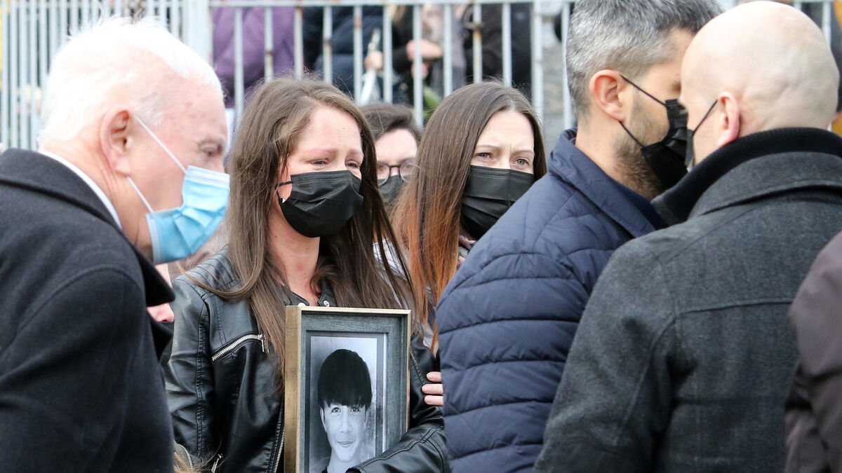 Schoolboy, 12, drove his mother's car in path of articulated truck in early-morning collision in Limerick - Vimarsana News