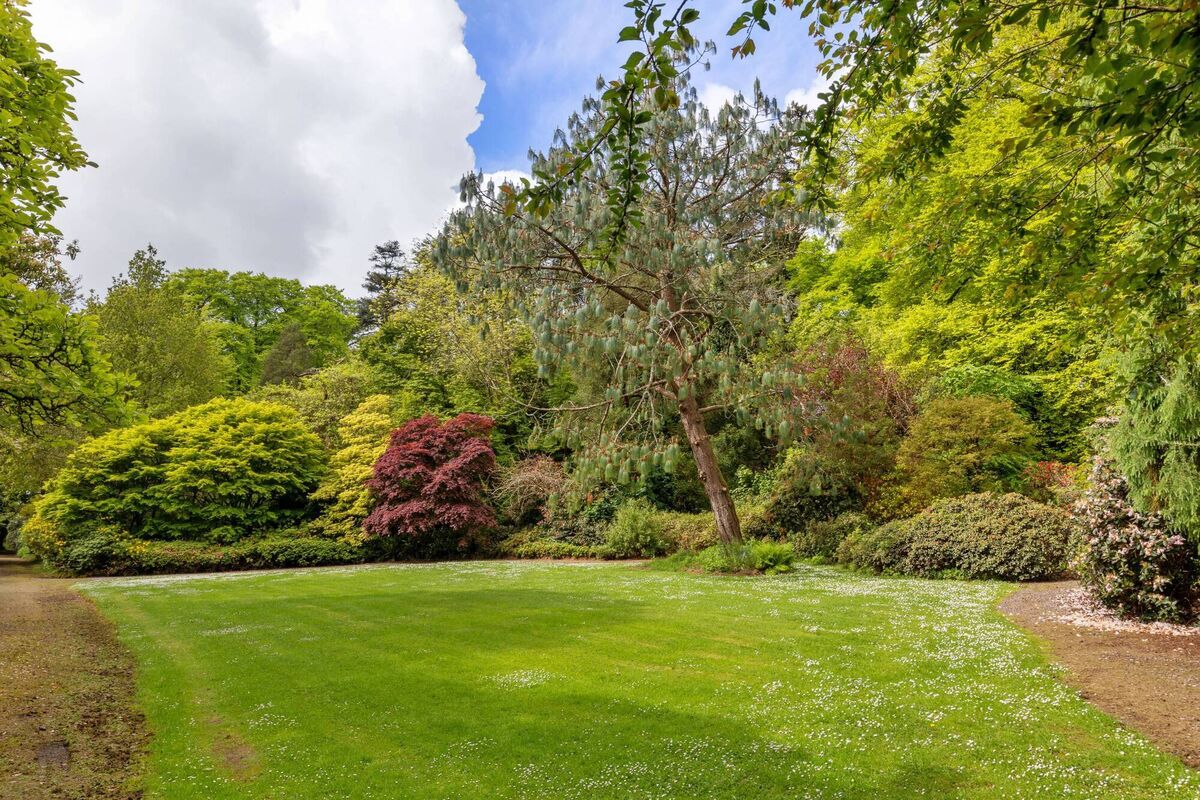 Tended grounds