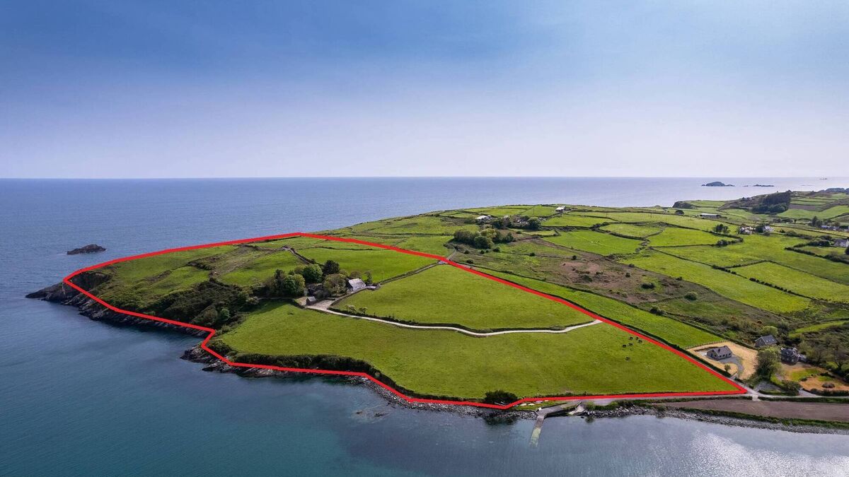 Half of a heavenly  West Cork headland and derelict farmhouse near Glandore can be yours -  so lovely it will top €1 million - Vimarsana News