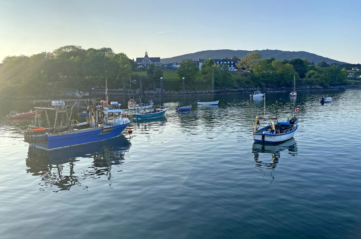 Evening sunshine at Schull Harbour in West Cork. Picture; Eddie O'Hare