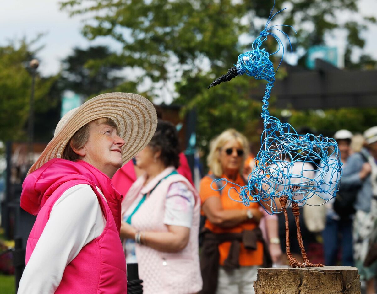 Ann Sheehan from Dripsey, Co Cork, examining the winning sculpture at the Currys stand at Bord Bia Bloom. Currys are also the sponsor of the Sculpture in the Park Garden. Picture: Leon Farrell/Photocall Ireland