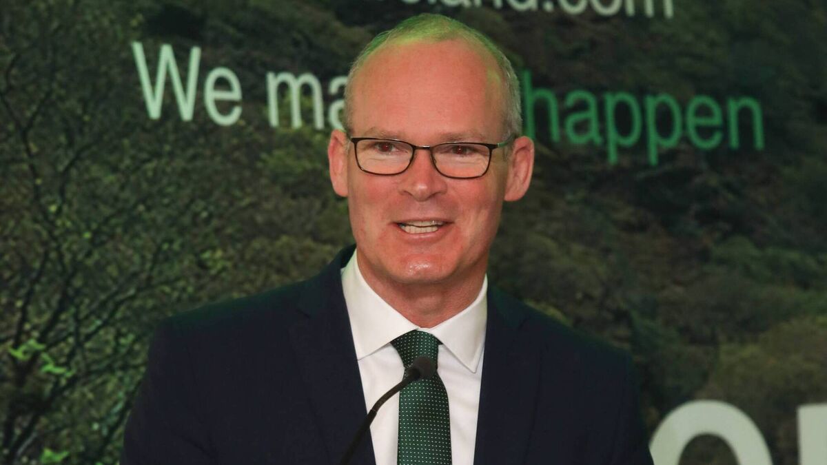 Ireland must become 'global hub' for AI, says Coveney - Vimarsana News