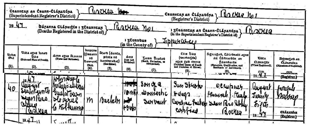 Heart failure and marasmus were listed as common causes of children's deaths at Sean Ross Abbey. 