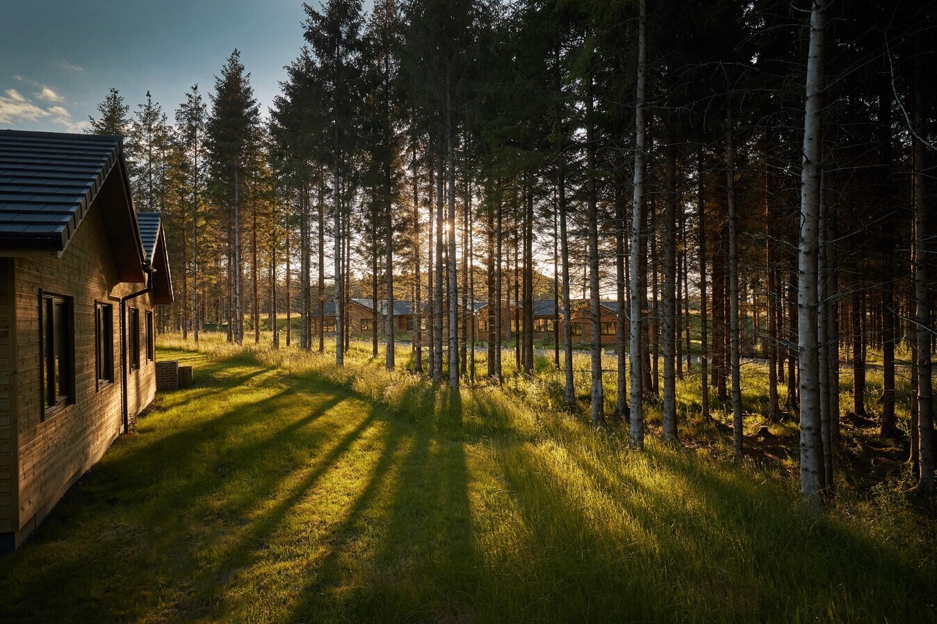Center Parcs may attract bid from world's largest fund in auction this month