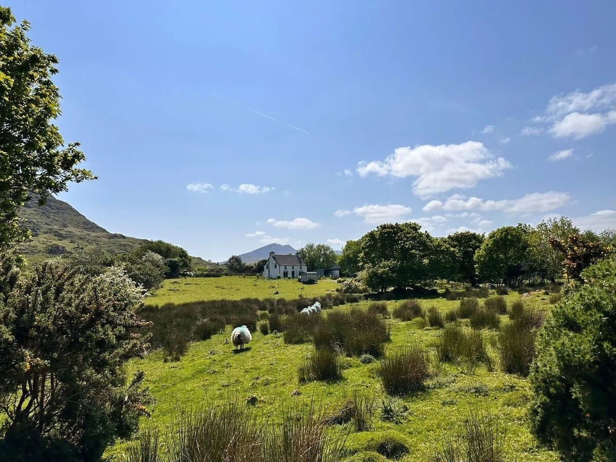 The holding is in the townland of Droumerkeen near the village of Lauragh and roughly equidistant from Kenmare and Castletownbere on the beautiful Beara Peninsula.