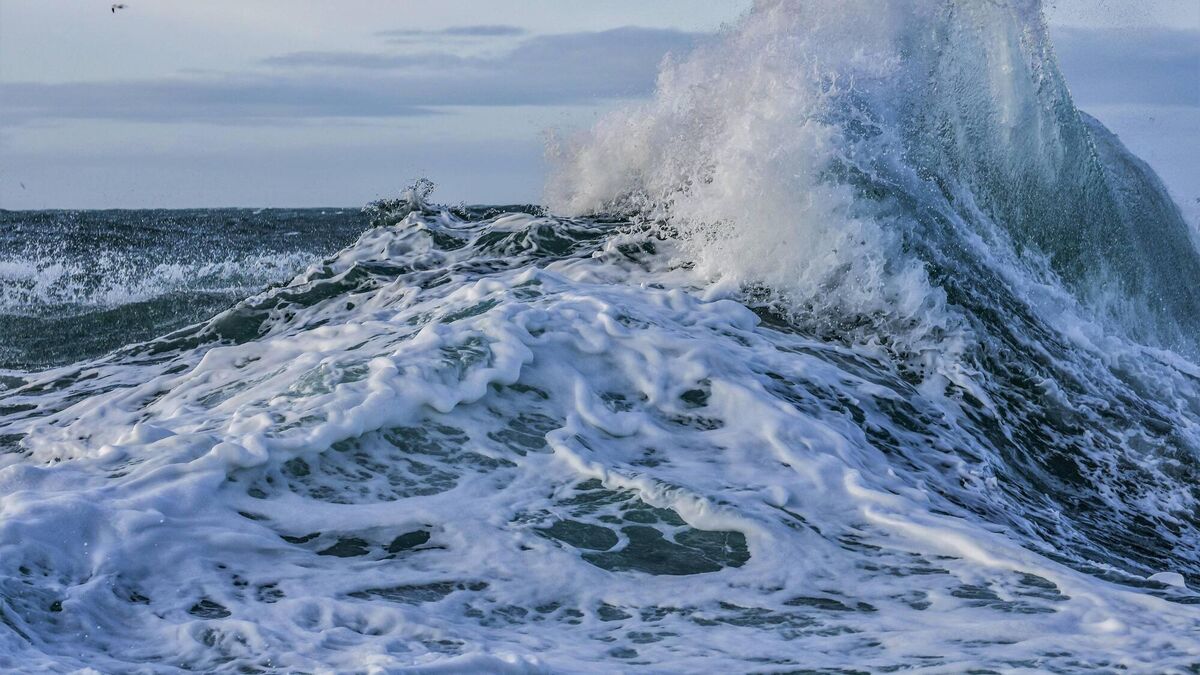 Dublin and Cork rising sea levels show scale of global challenge - Vimarsana News