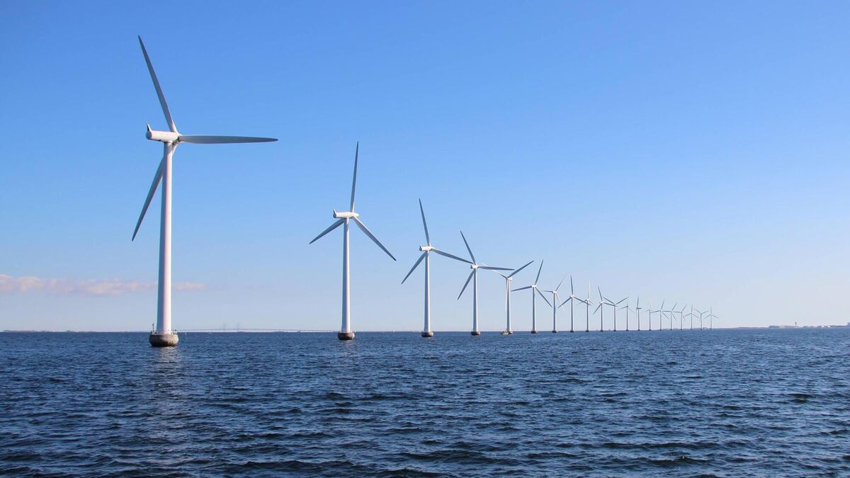 Successful auction signals bright future for Irish renewable energy - Vimarsana News