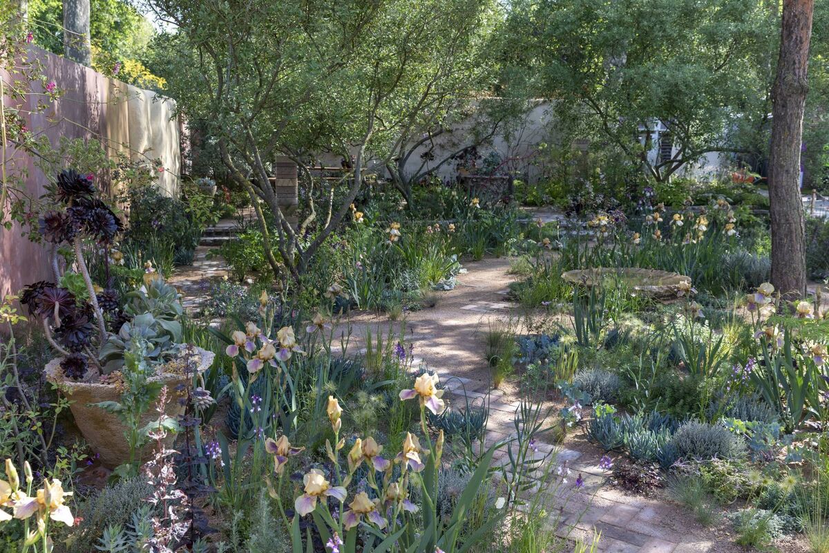 The Nurture Landscapes Garden at Chelsea.