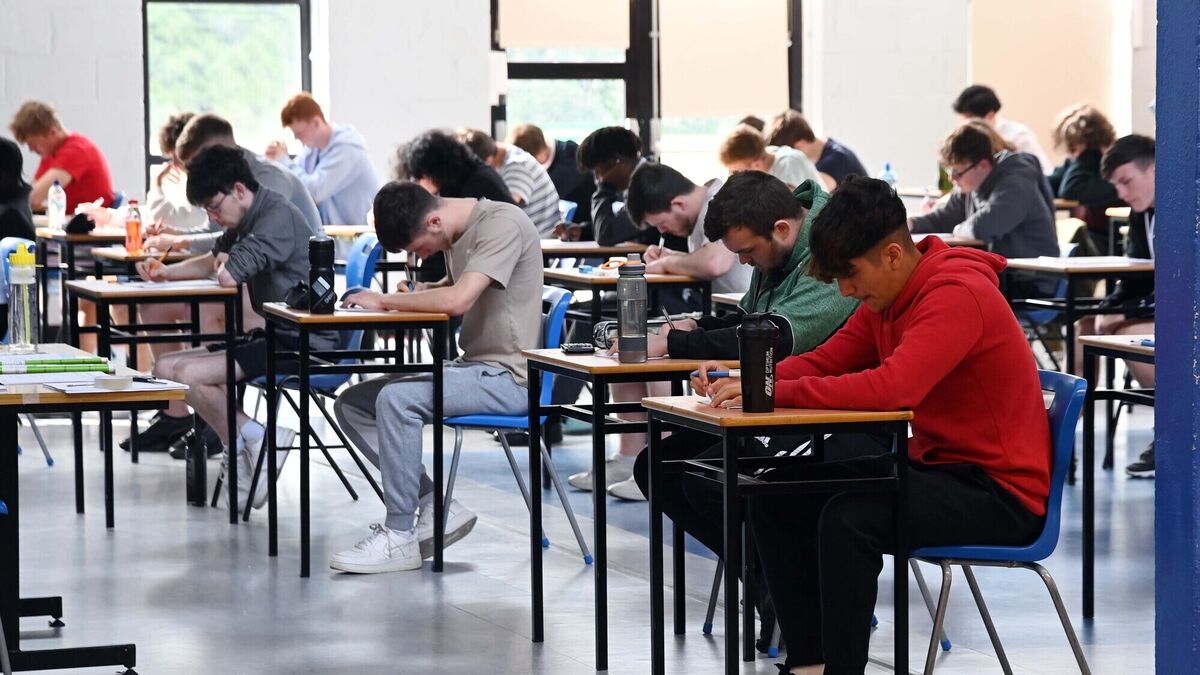 Could you pass English Paper 1? 'Lovely' variety in Leaving Cert exam; Junior Cycle test 'babyish' - Vimarsana News