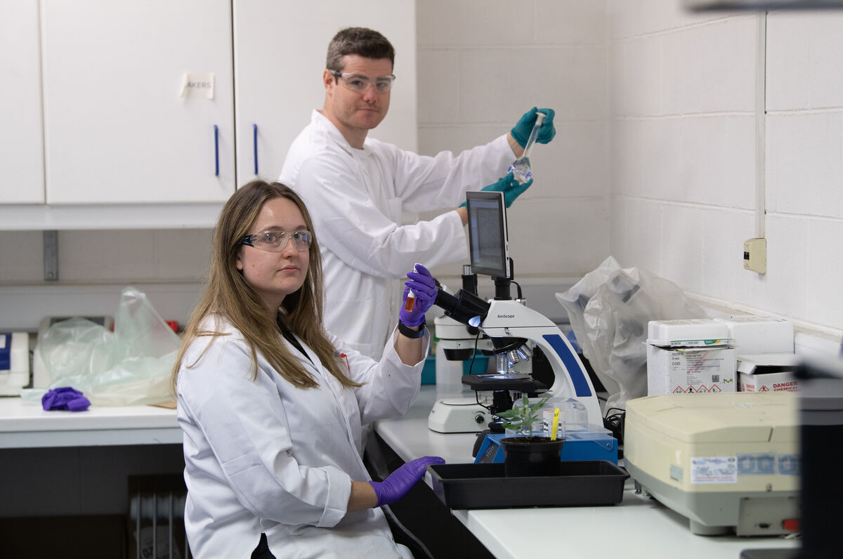 Lauren Twamley and Gavin Peevers of BioAtlantis pictured in a grow lab. Picture: Domnick Walsh Lauren Twamley and Gavin Peevers of BioAtlantis pictured in a grow lab. Picture: Domnick Walsh