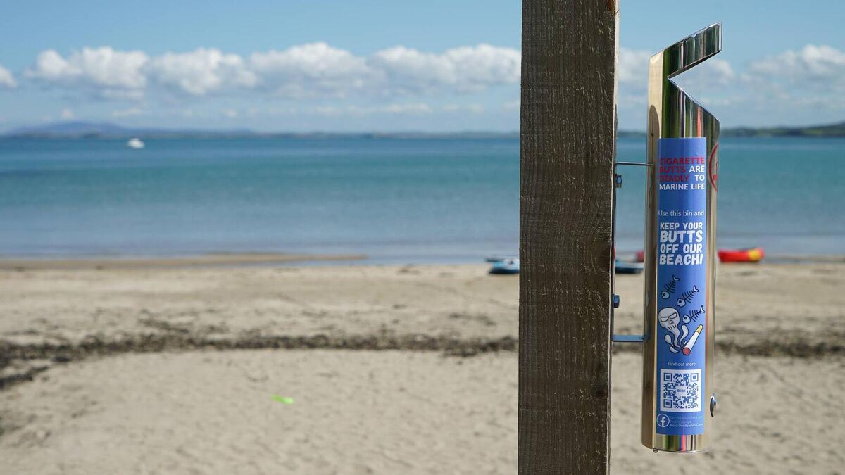 Donal Hickey: Cigarette butts and single-use vapes could ruin our beaches - Vimarsana News
