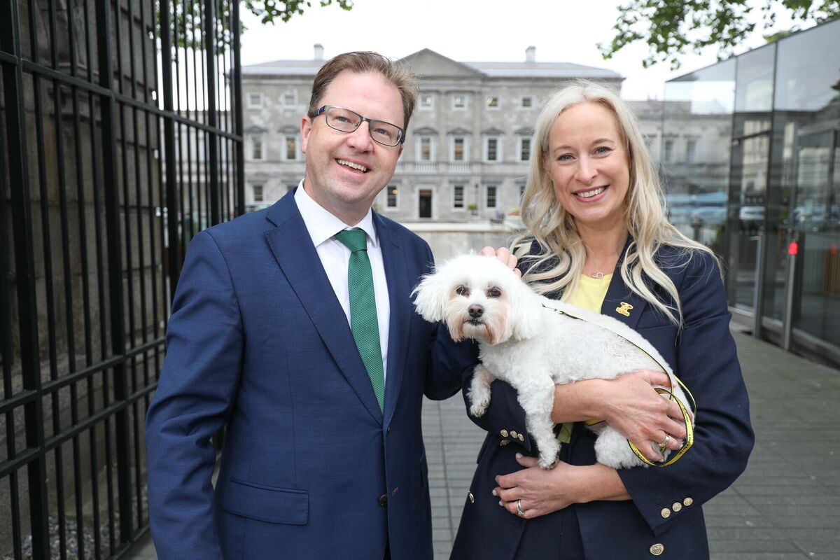 Dogs Trust presented this petition, containing 59,907 signatures, to James Lawless on Thursday. Picture: Kenneth O’Halloran Dogs Trust presented this petition, containing 59,907 signatures, to James Lawless on Thursday. Picture: Kenneth O’Halloran