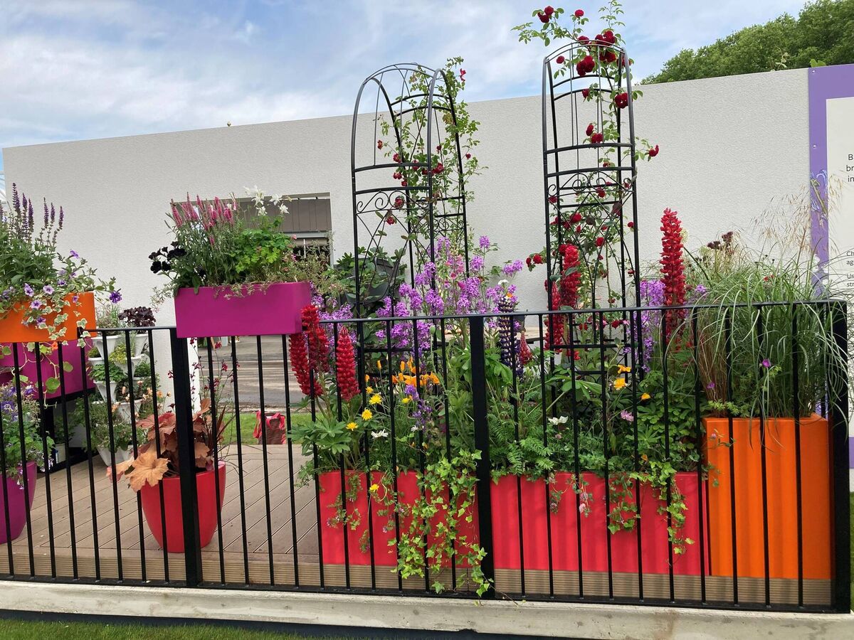 Living garden walls can add the 'wow' factor to a balcony. 