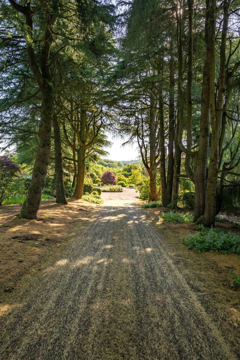 Cedars line the approach avenue. Although you are within Glanmire, you can barely see another single house from anywhere on the five acre property