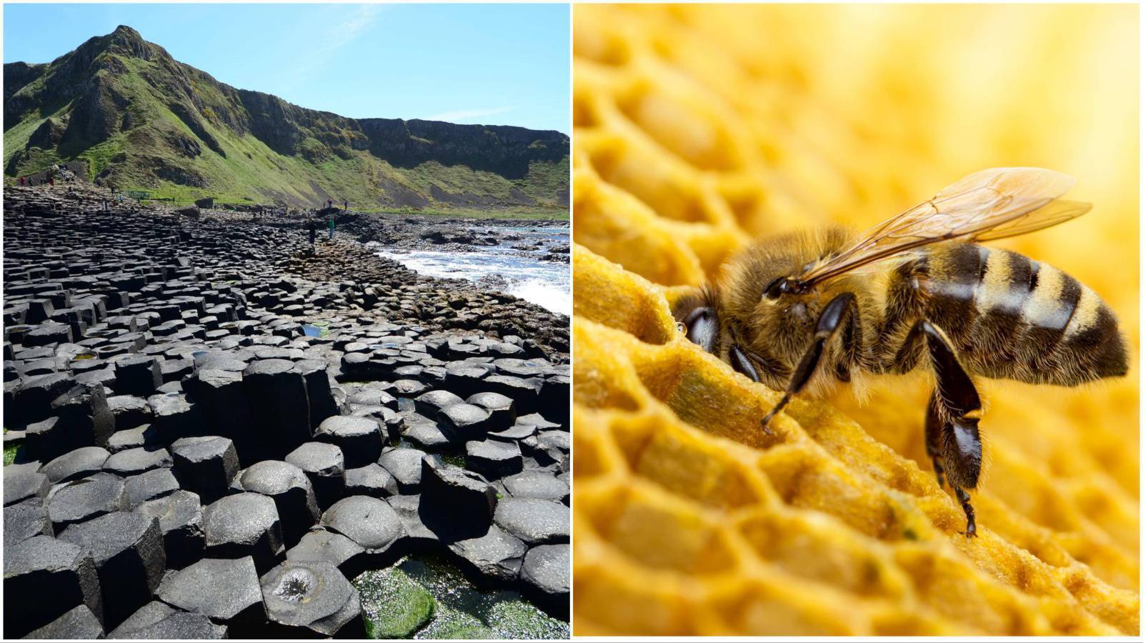 Richard Collins: Make a bee-line for Giant's Causeway — it is really impressive 