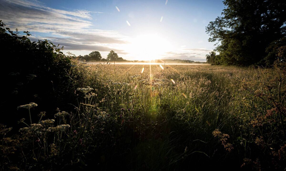 The sun rises on the longest day of the year, near the Stone Circle in Grange, Lough Gur, Co Limerick in 2019: Ambient Orbit broadcasts live for this year's Summer Solstice; Wednesday, 5am; LyricFM. Picture: Keith Wiseman