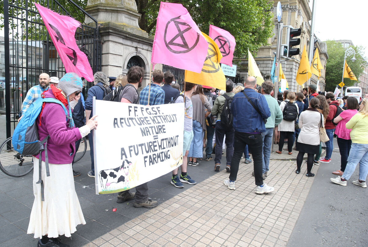 The Environmental Pillar told the National Economic Dialogue taking place in Dublin that the need to protect Ireland's biodiversity and climate have grown starker. File picture: Stephen Collins/Collins