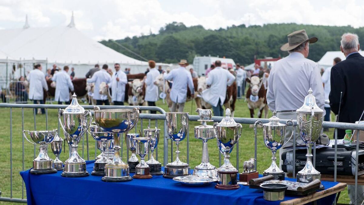 The Hereford's time to shine at Cork Summer Show - Vimarsana News