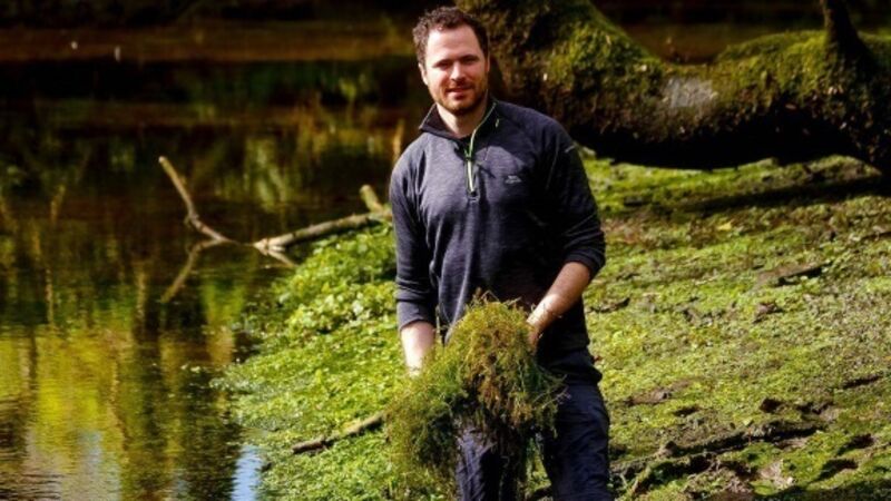 Pondweed research aims to help combat pollution of waterways Pondweed research aims to help combat pollution of waterways