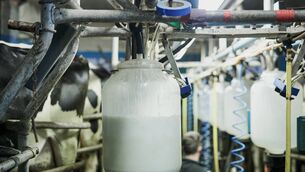 <p>A Lakeland spokesperson said that the rate of growth in global milk supply is slowing, but it still exceeds demand. </p> <p>A Lakeland spokesperson said that the rate of growth in global milk supply is slowing, but it still exceeds demand. </p>