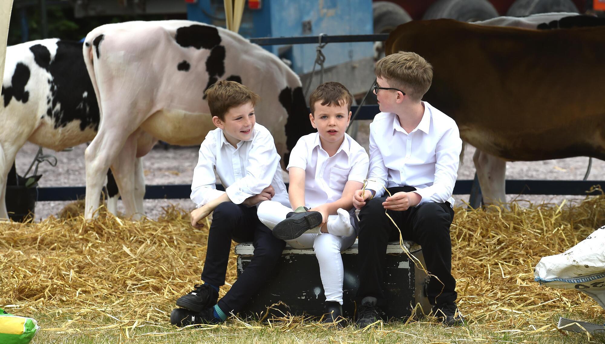 Final preparations as historic Cork Summer Show returns to Curraheen