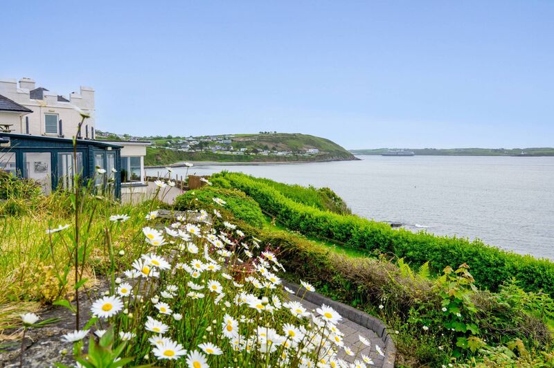 A bunny hop to the beach