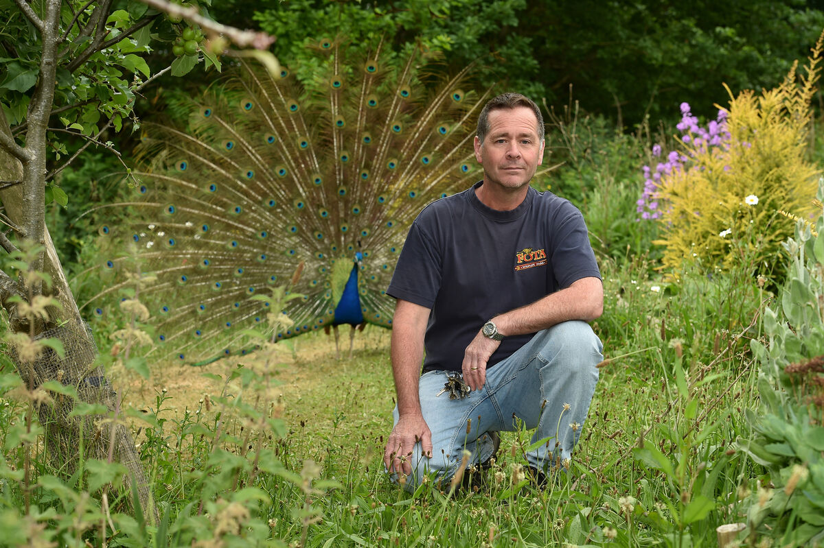 John McLaughlin has worked at Fota for almost 20 years and is currently involved with the Natterjack Toad and Corncrake Conservation Project at Fota Wildlife Park. Pic: Dan Linehan John McLaughlin has worked at Fota for almost 20 years and is currently involved with the Natterjack Toad and Corncrake Conservation Project at Fota Wildlife Park. Pic: Dan Linehan