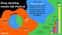 HSE programme analysed 97 samples of drugs at three-day Life Festival