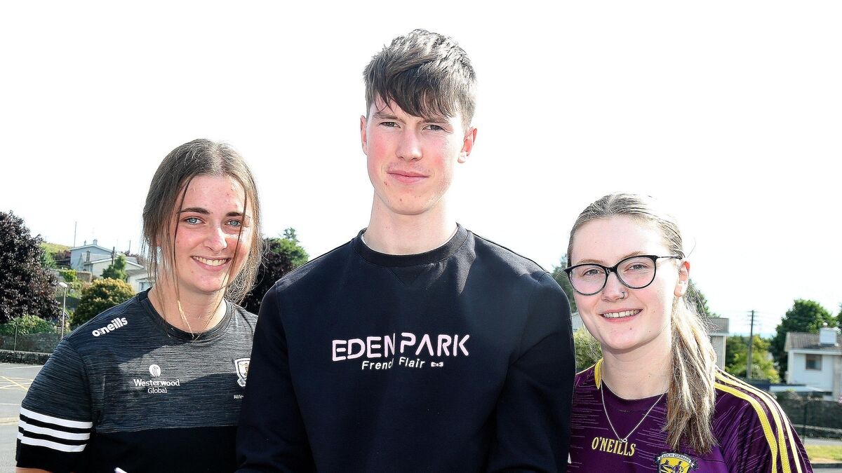 Sprechen sie Deutsch? Could you pass a 'lovely' German JC exam or a challenging Business Leaving Cert? - Vimarsana News
