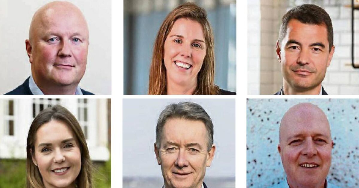 Business movers People starting new jobs in Ireland