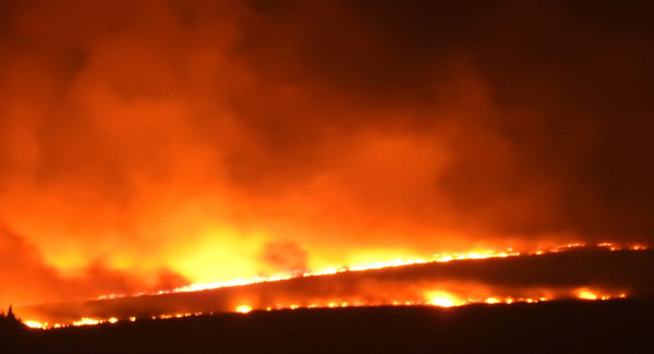 Inter-agency group set up to explore gorse fire issues