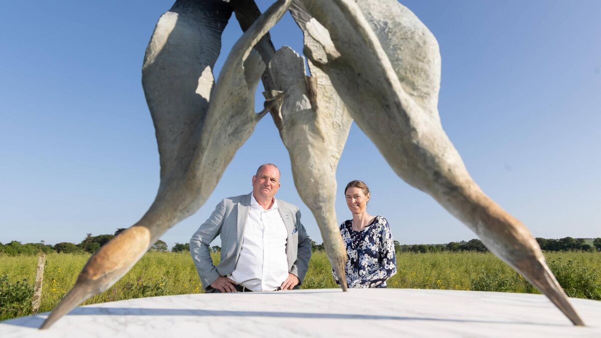 Richard Scott at Ballymaloe: Sculpting a business in the art world - Vimarsana News