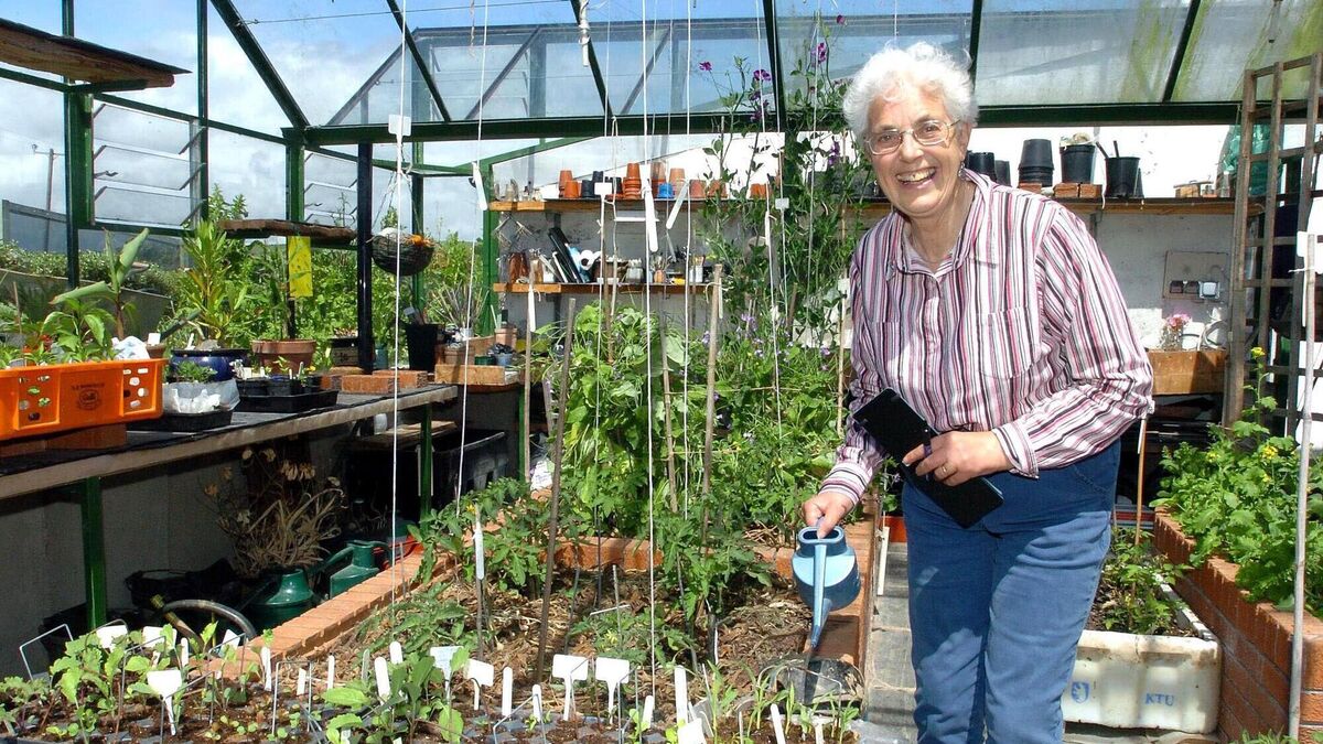 'Be as diverse as possible!': a gardening pioneer's guide to growing on a warming planet - Vimarsana News