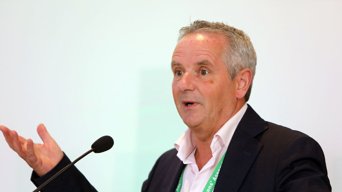 Citizens' Assembly must seize opportunity to 'fix drugs crisis before it gets worse' - Vimarsana News