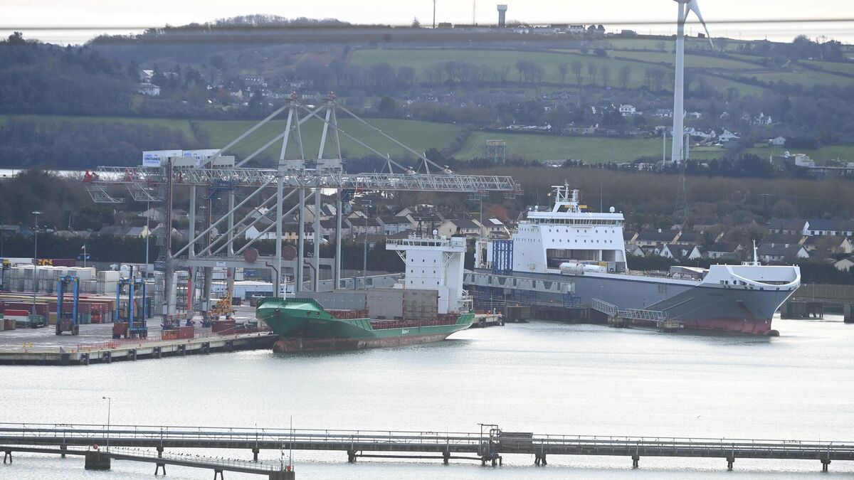 Irish ports 'may be targeted' by cocaine cartels - Vimarsana News