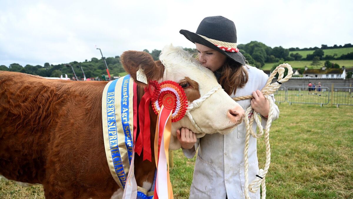 'A big outdoor party': Crowds flock to day one of Cork Summer Show