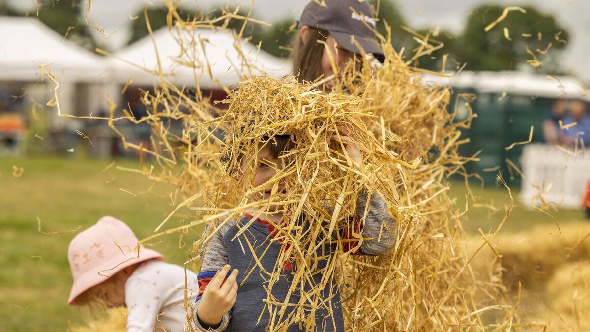 'A big outdoor party': Crowds flock to day one of Cork Summer Show - Vimarsana News