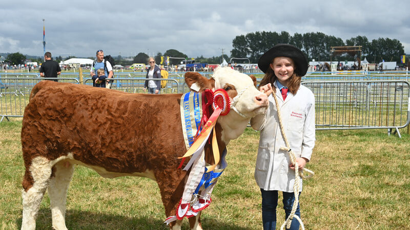 Beginner's luck for Tori and Rosie at Cork Summer Show