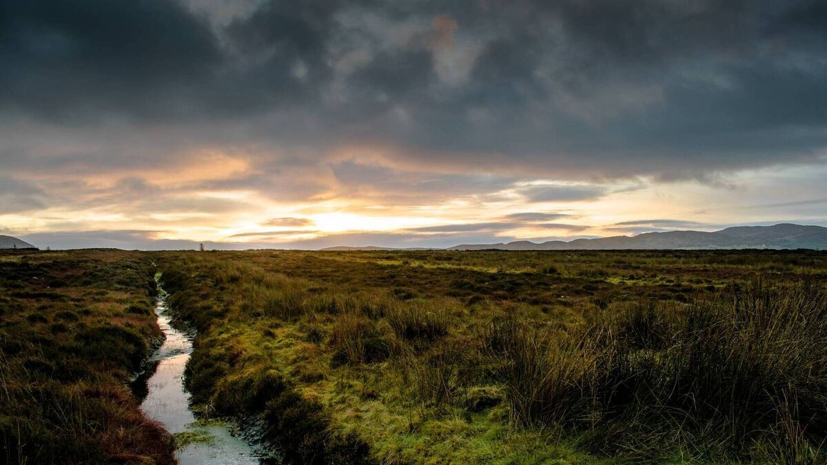 Donal Hickey: Drones and satellites to monitor Irish bogs and identify peatland areas under threat - Vimarsana News