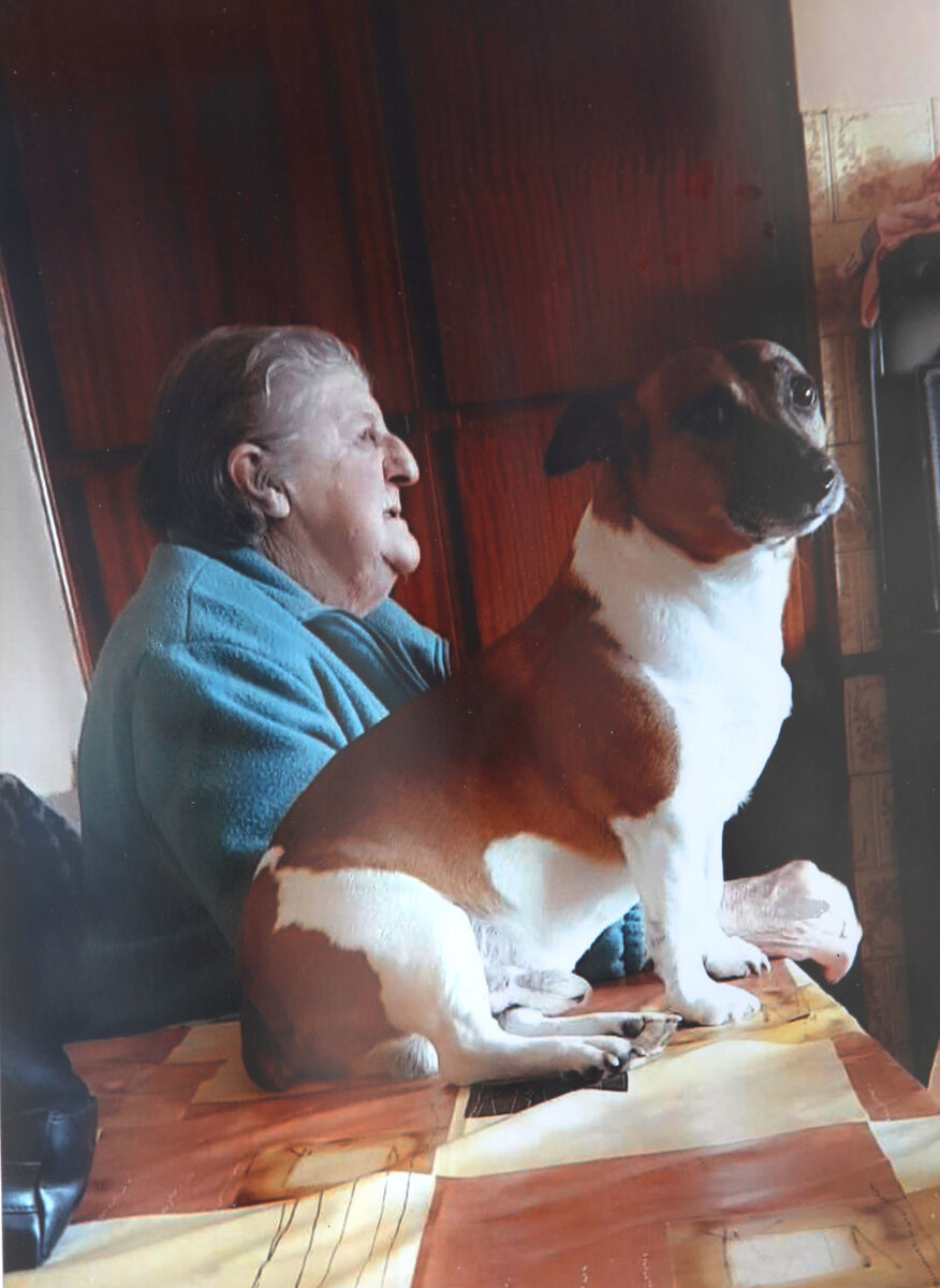 Chrissie Treacy with her dog, Bradley. Picture: Collins Courts
