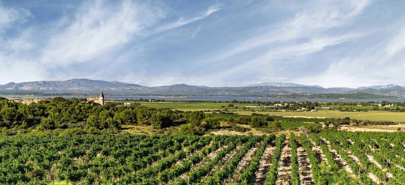 Château Capitoul and its vineyards