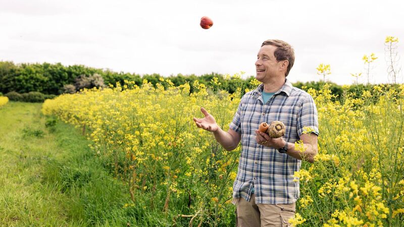 Galway growers issue a 'save our summer' plea for consumers to support local