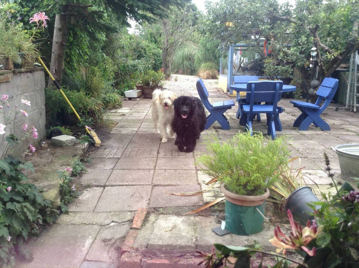 Garden before Garden before