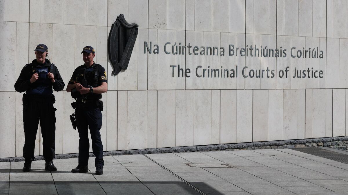 Elaine Loughlin: Fate of special court would be parting gift to SF in power - Vimarsana News