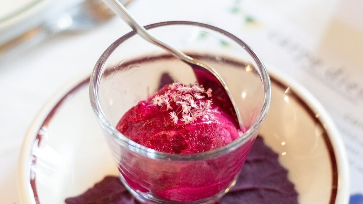 Hilary Van Leeuwen & Eline Teunissen's Beetroot Sorbet