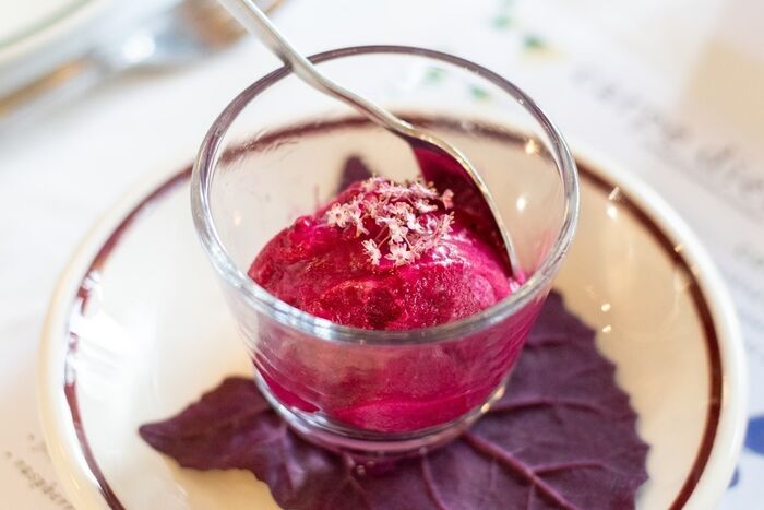 Hilary Van Leeuwen & Eline Teunissen's Beetroot Sorbet