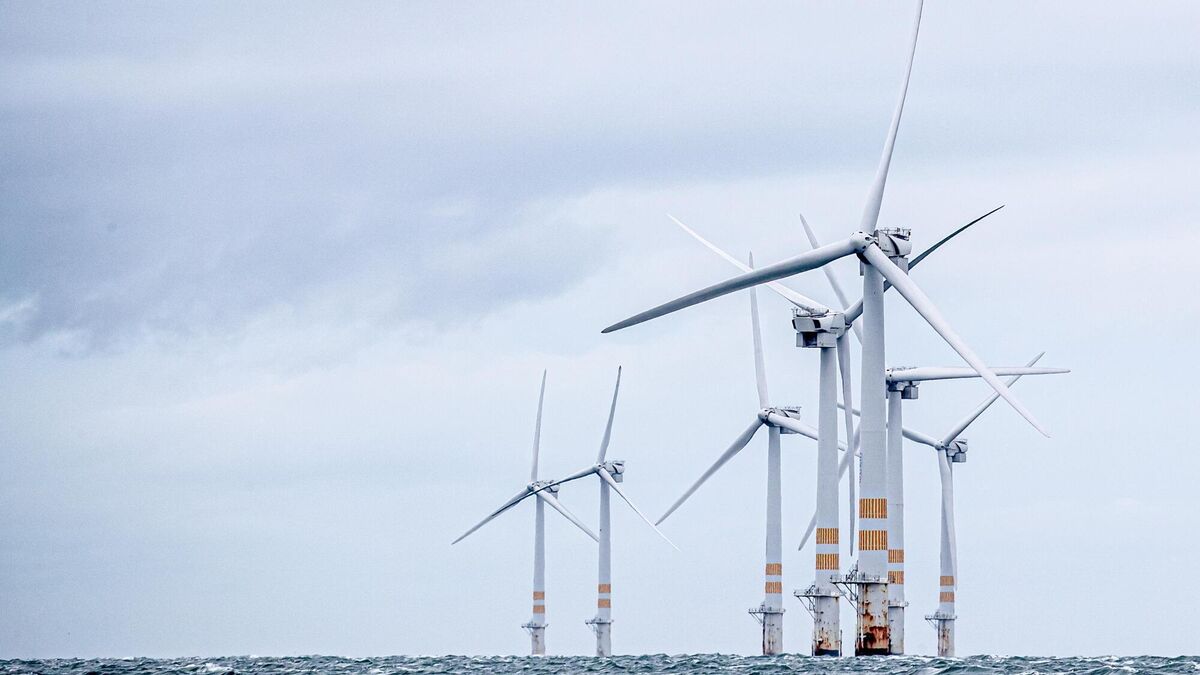 Kerry engineer to make waves with wind turbine expertise at Stanford - Vimarsana News