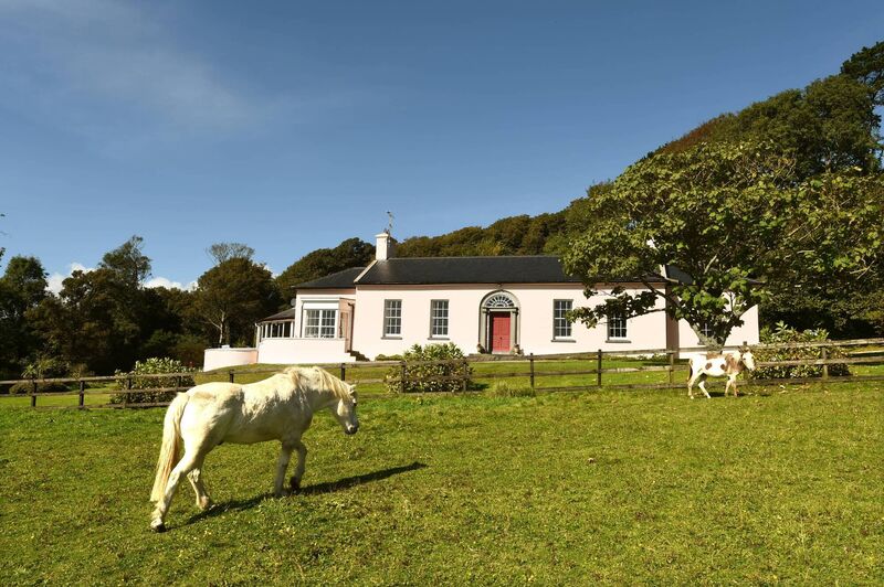 Pets' paradise:  Sprayfield is between Kinsale and the Old Head of Kinsale Golf Course, on 40 acres with  half a mile of shoreline frontage