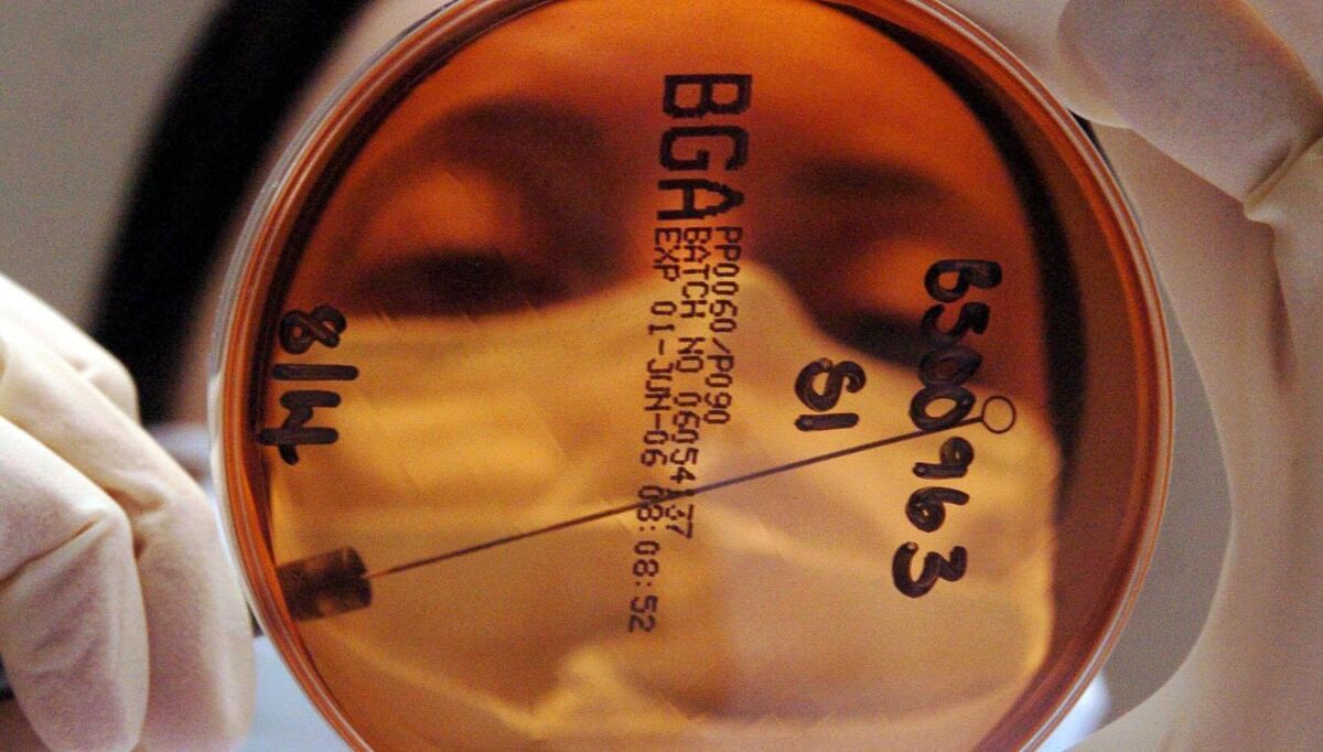 Pandemics kill far more people and cost economies more than war. Pandemics kill far more people and cost economies more than war.